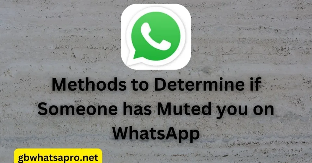 Methods to Determine if Someone has Muted you on WhatsApp
